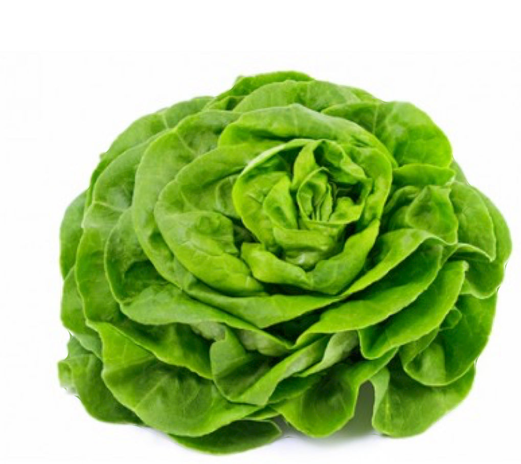 Cappuccina Salat pro Stück
