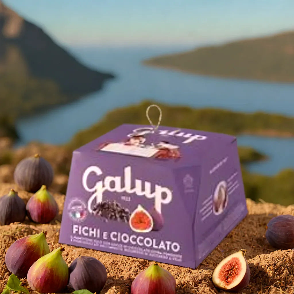 Galup panettone ficht e cioccolato 750g